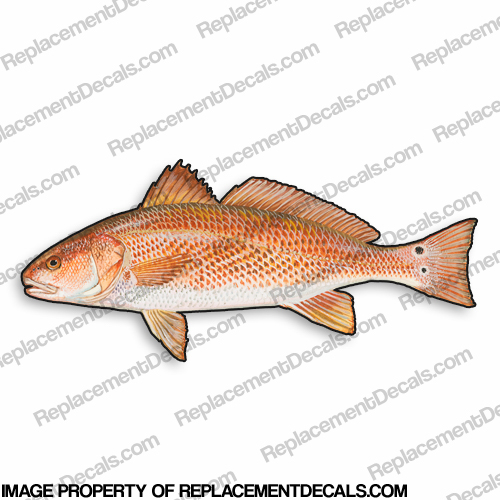 Red Drum Decal - 9" INCR10Aug2021